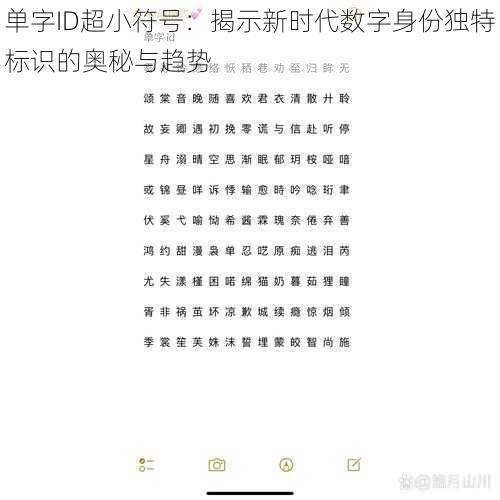 单字ID超小符号：揭示新时代数字身份独特标识的奥秘与趋势