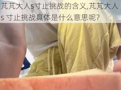 芃芃大人s寸止挑战的含义,芃芃大人 s 寸止挑战具体是什么意思呢？