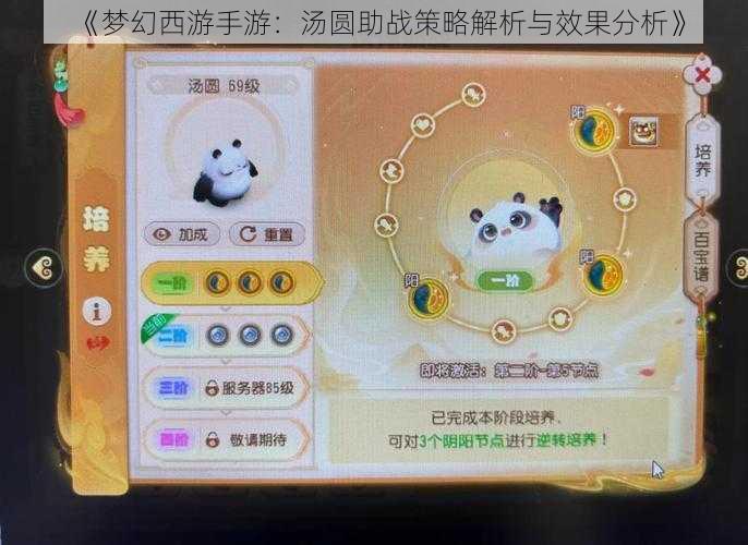 《梦幻西游手游：汤圆助战策略解析与效果分析》