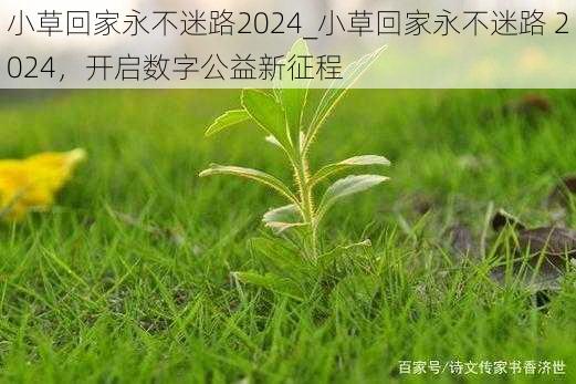 小草回家永不迷路2024_小草回家永不迷路 2024，开启数字公益新征程