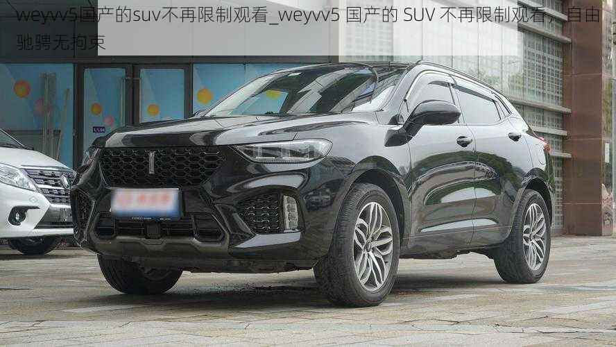 weyvv5国产的suv不再限制观看_weyvv5 国产的 SUV 不再限制观看，自由驰骋无拘束