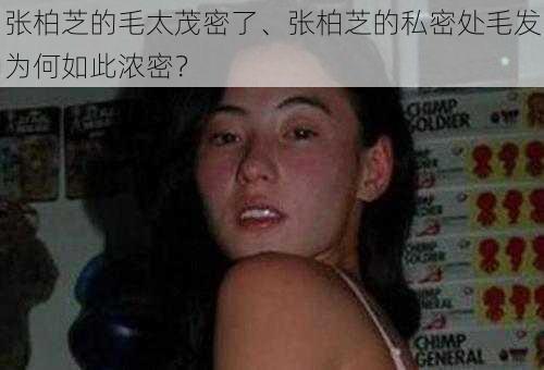 张柏芝的毛太茂密了、张柏芝的私密处毛发为何如此浓密？