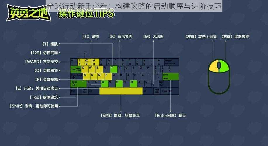 全球行动新手必看：构建攻略的启动顺序与进阶技巧