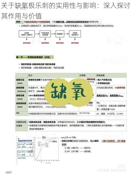 关于缺氧极乐刺的实用性与影响：深入探讨其作用与价值