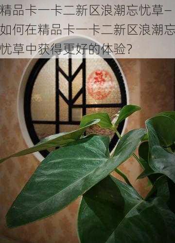 精品卡一卡二新区浪潮忘忧草—如何在精品卡一卡二新区浪潮忘忧草中获得更好的体验？