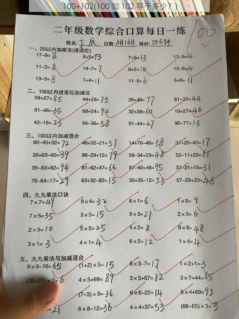 100+102(100 加 102 等于多少？)