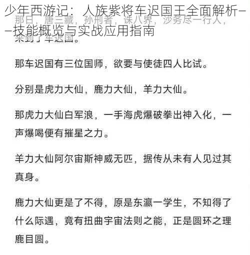 少年西游记：人族紫将车迟国王全面解析——技能概览与实战应用指南