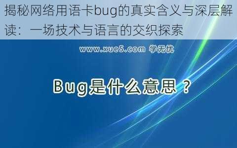 揭秘网络用语卡bug的真实含义与深层解读：一场技术与语言的交织探索