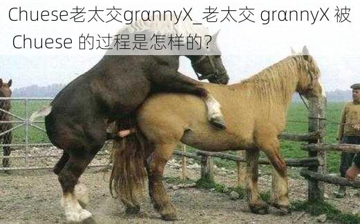 Chuese老太交grαnnyX_老太交 grαnnyX 被 Chuese 的过程是怎样的？