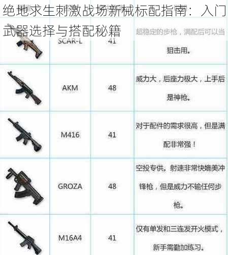 绝地求生刺激战场新械标配指南：入门武器选择与搭配秘籍