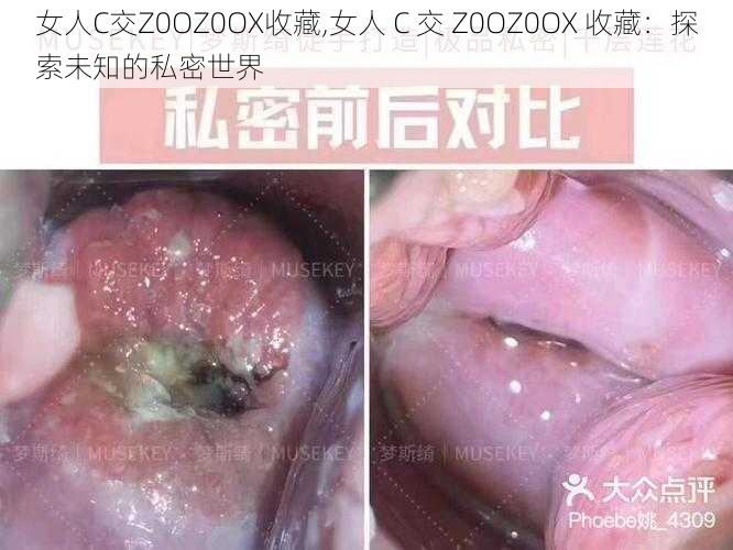 女人C交Z0OZ0OX收藏,女人 C 交 Z0OZ0OX 收藏：探索未知的私密世界