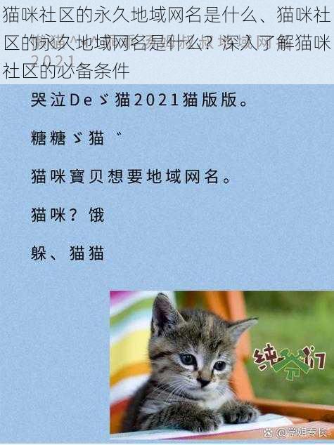 猫咪社区的永久地域网名是什么、猫咪社区的永久地域网名是什么？深入了解猫咪社区的必备条件