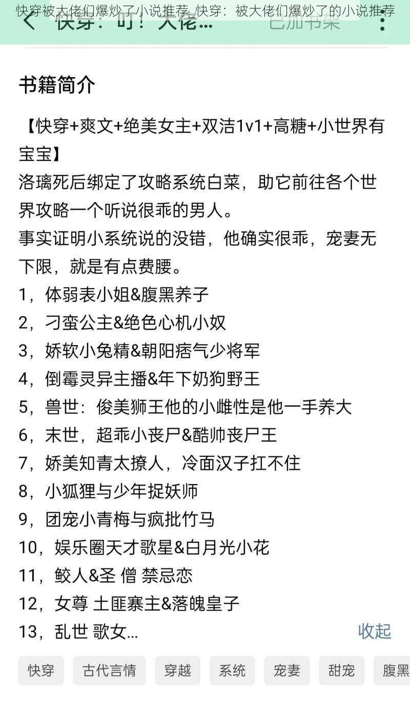 快穿被大佬们爆炒了小说推荐_快穿：被大佬们爆炒了的小说推荐