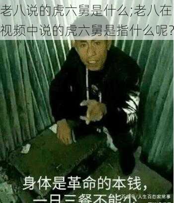 老八说的虎六舅是什么;老八在视频中说的虎六舅是指什么呢？