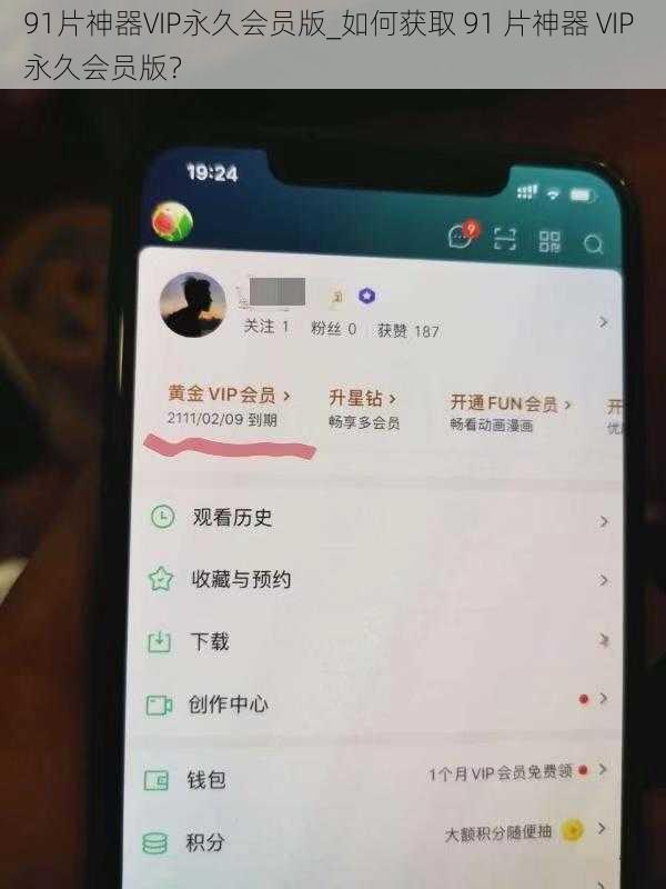 91片神器VIP永久会员版_如何获取 91 片神器 VIP 永久会员版？