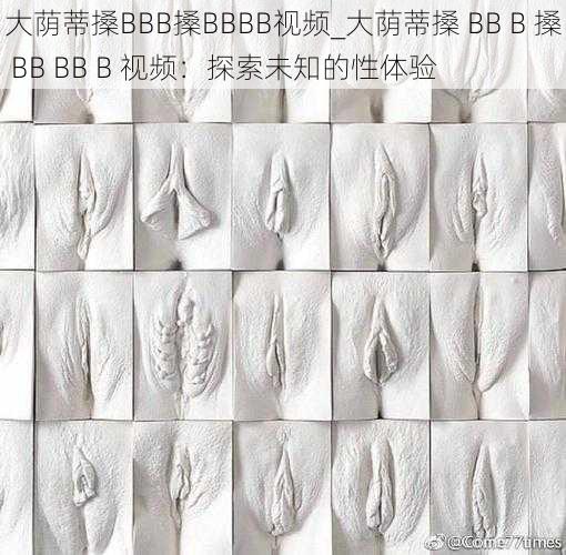 大荫蒂搡BBB搡BBBB视频_大荫蒂搡 BB B 搡 BB BB B 视频：探索未知的性体验