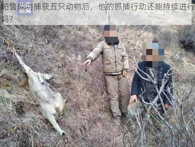 帕鲁成功捕获五只动物后，他的抓捕行动还能持续进行吗？