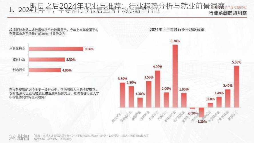 明日之后2024年职业与推荐：行业趋势分析与就业前景洞察