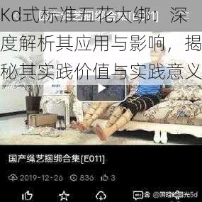 Kd式标准五花大绑：深度解析其应用与影响，揭秘其实践价值与实践意义