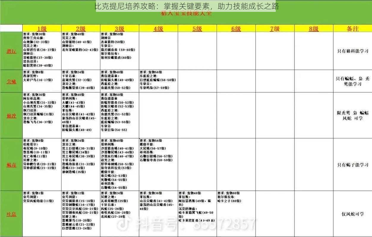 比克提尼培养攻略：掌握关键要素，助力技能成长之路