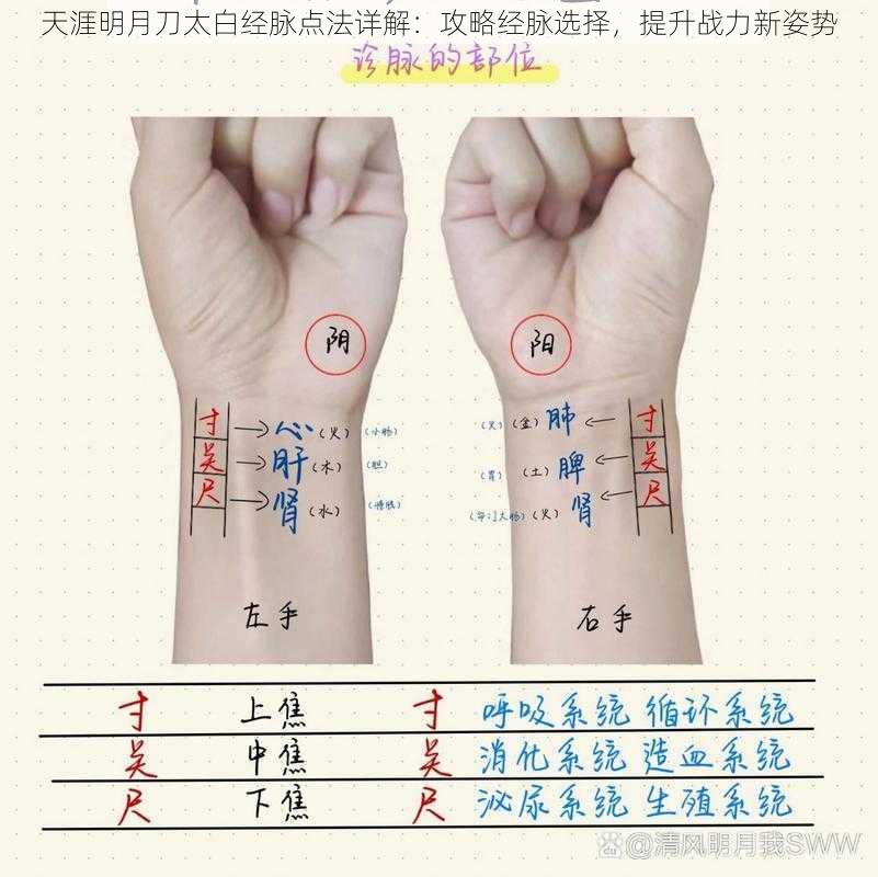 天涯明月刀太白经脉点法详解：攻略经脉选择，提升战力新姿势