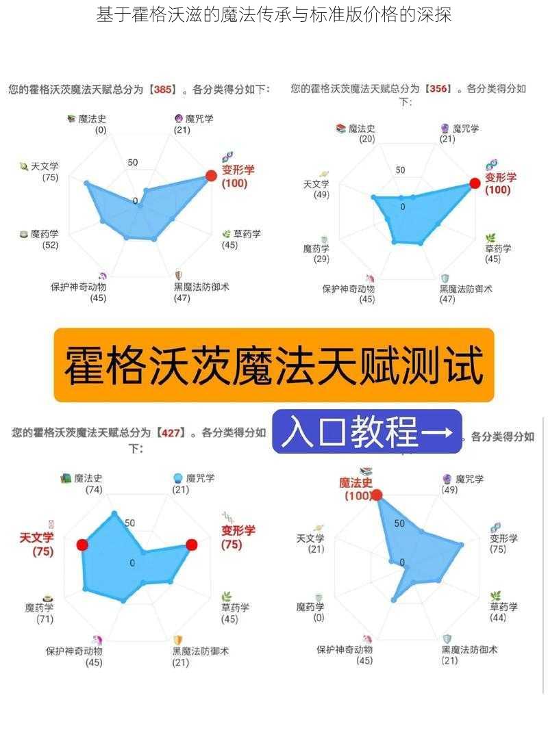 基于霍格沃滋的魔法传承与标准版价格的深探