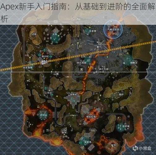 Apex新手入门指南：从基础到进阶的全面解析