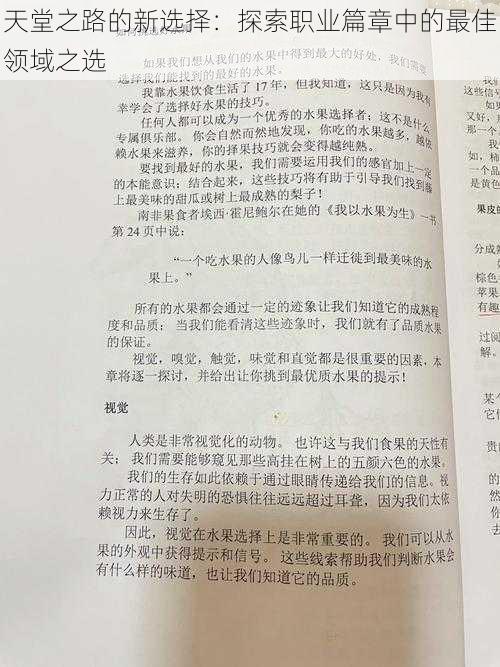 天堂之路的新选择：探索职业篇章中的最佳领域之选