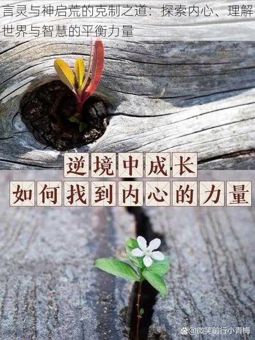 言灵与神启荒的克制之道：探索内心、理解世界与智慧的平衡力量