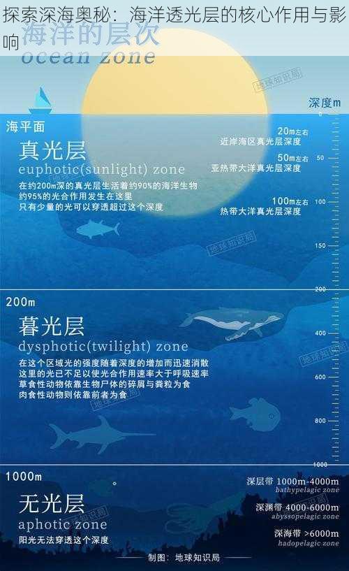 探索深海奥秘：海洋透光层的核心作用与影响