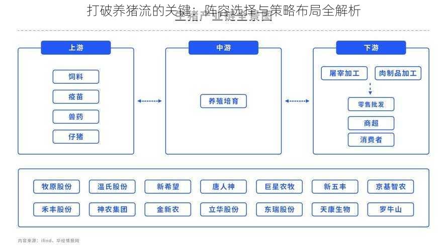 打破养猪流的关键：阵容选择与策略布局全解析