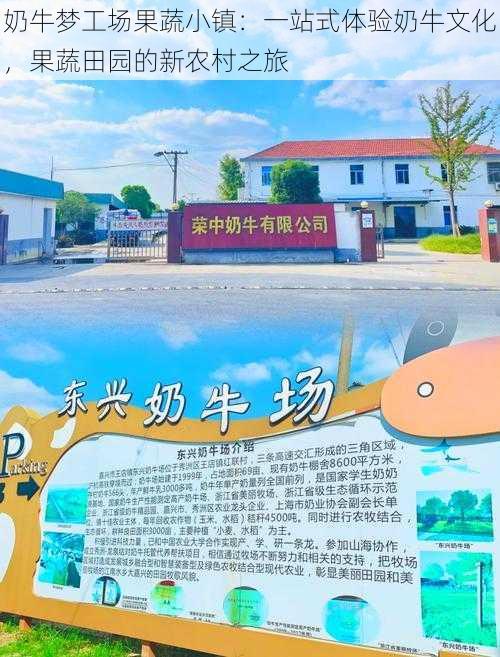 奶牛梦工场果蔬小镇：一站式体验奶牛文化，果蔬田园的新农村之旅