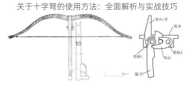 关于十字弩的使用方法：全面解析与实战技巧