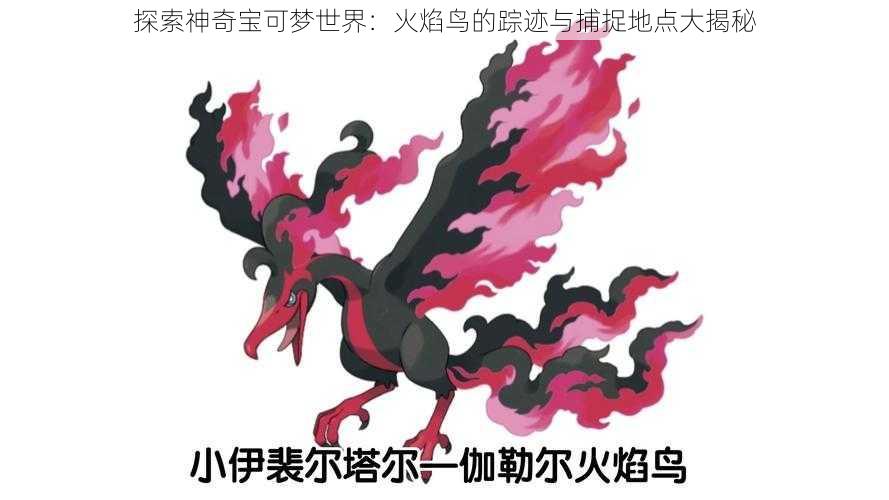 探索神奇宝可梦世界：火焰鸟的踪迹与捕捉地点大揭秘