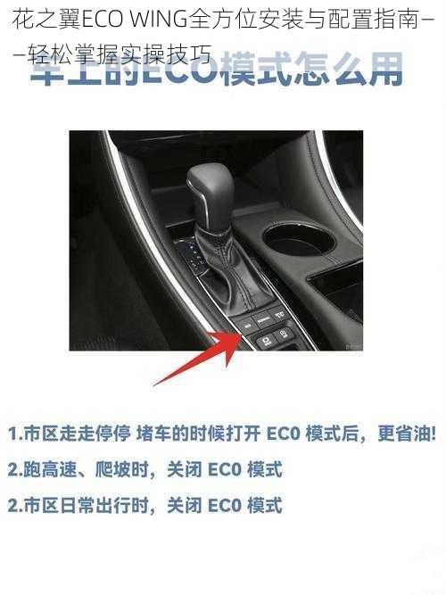 花之翼ECO WING全方位安装与配置指南——轻松掌握实操技巧