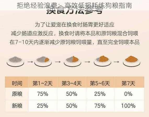 拒绝经验浪费：高效低损耗练狗粮指南